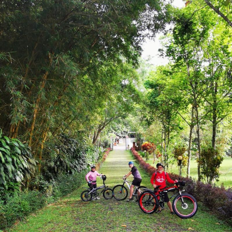 MesaStila Morning Fun Bike