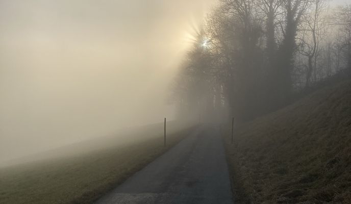 Photo 2 of the Bikemap route "Salzburg | rund um den Heuberg"