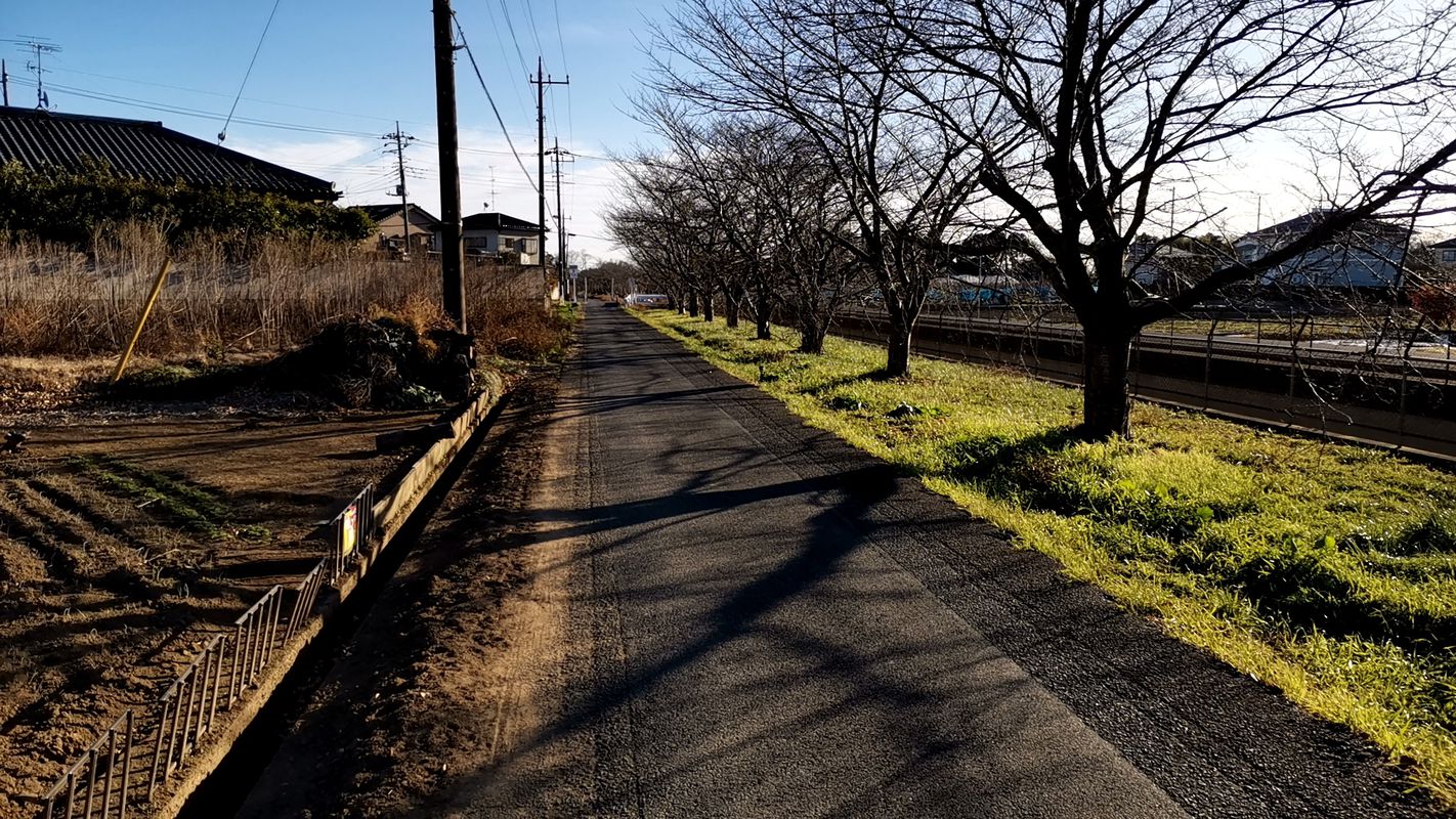 水と緑のふれあいロード・緑のヘルシーロード ぐるっと一周 2020/12/20