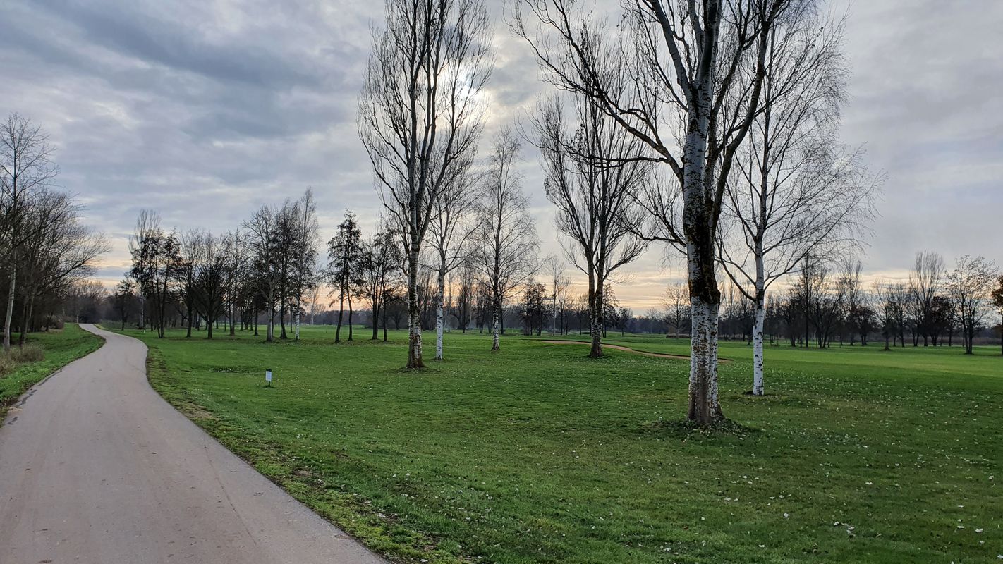 Flache Runde in Richtung Rhein