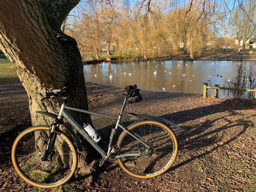 Start Morden loop via Raynes Park, Richmond Park and River Thames