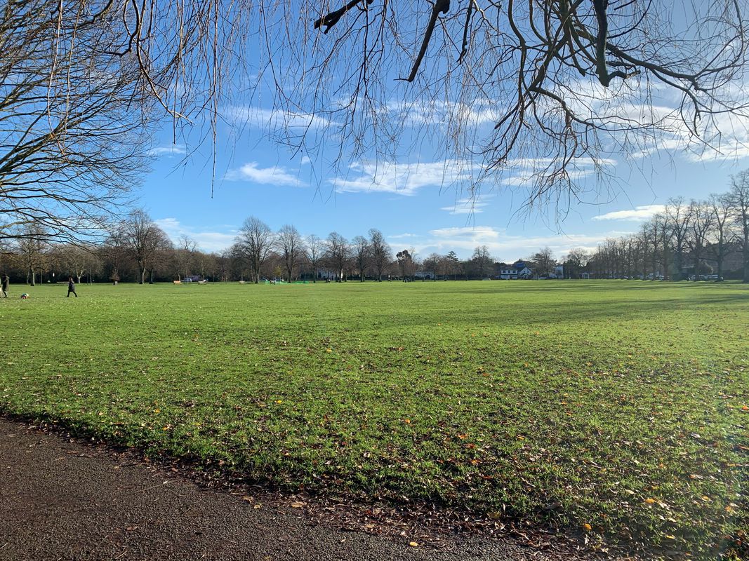 Start Morden loop via Raynes Park, Richmond Park and River Thames
