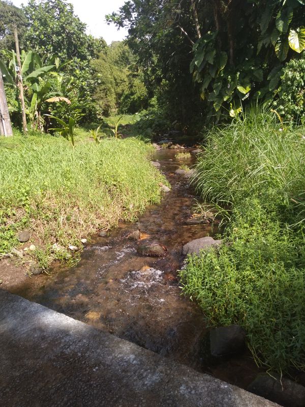 De Rue de la Fontaine, Capesterre-Belle-Eau à Rue de la Fontaine, Capesterre-Belle-Eau