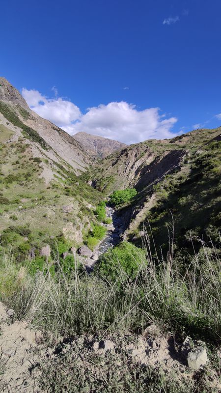 Inland Kaikoura Road, Inland Road to Inland Kaikoura Road, Inland Road