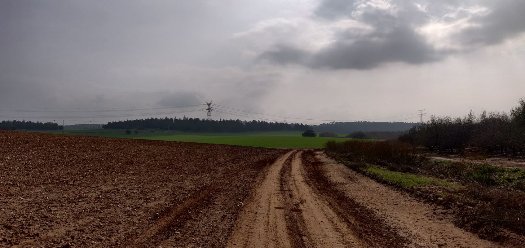 Haruvit Forest and Britain Park