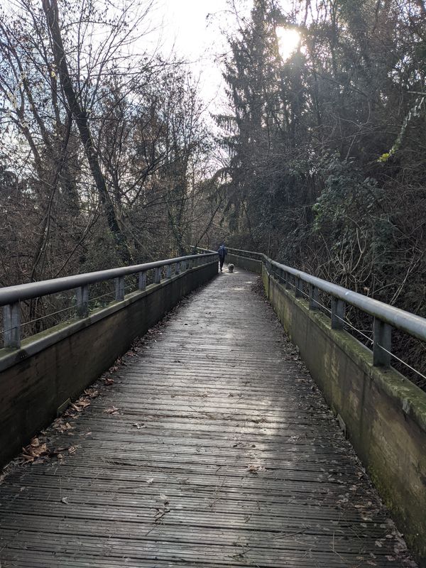 Da Via Trieste 10, Curno a Via Arturo Toscanini 3, Bergamo