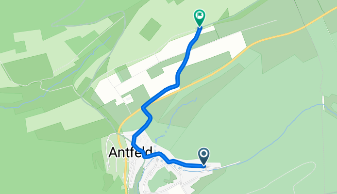 Antfeld