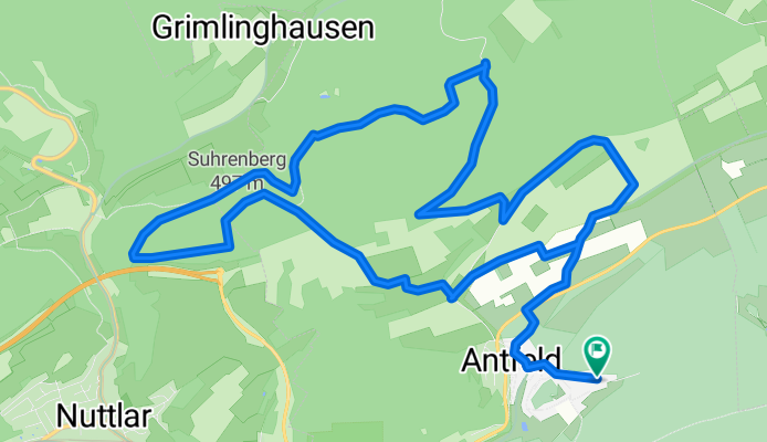Antfeld - Suhrenberg