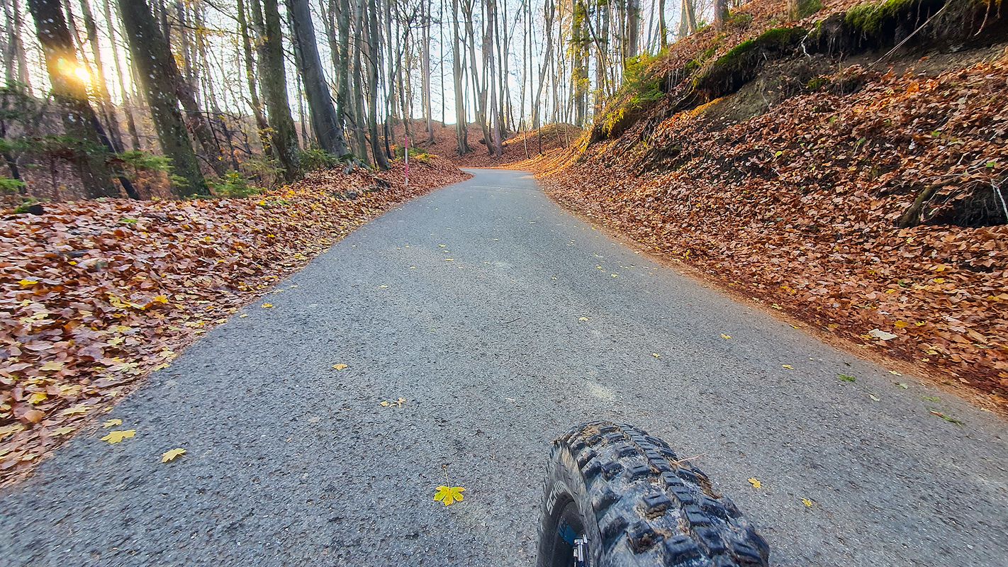 From fog to fog MTB