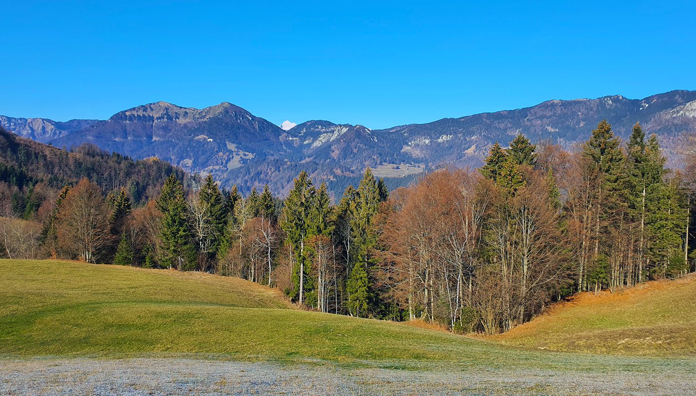 Davča MTB
