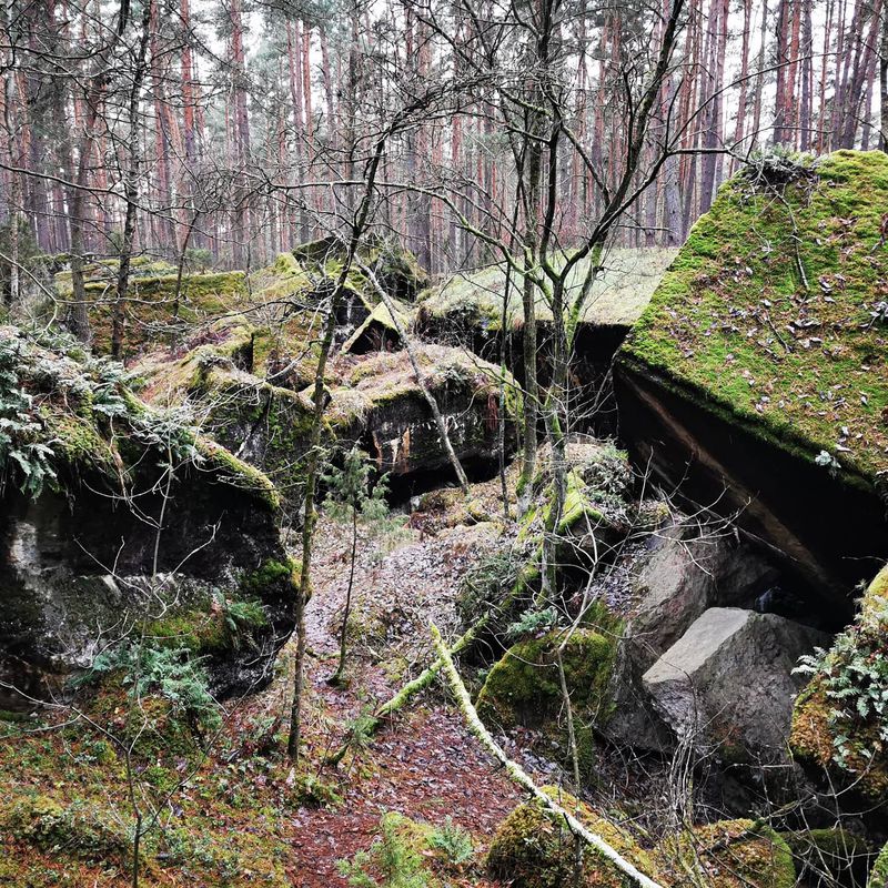WOKÓŁ FORTU IV OSOWIEC
