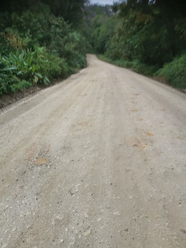 Blistering ride in
