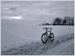 Hebe Bild 6 entlang der Bikemap-Route "Ciechanów i okolice" hervor