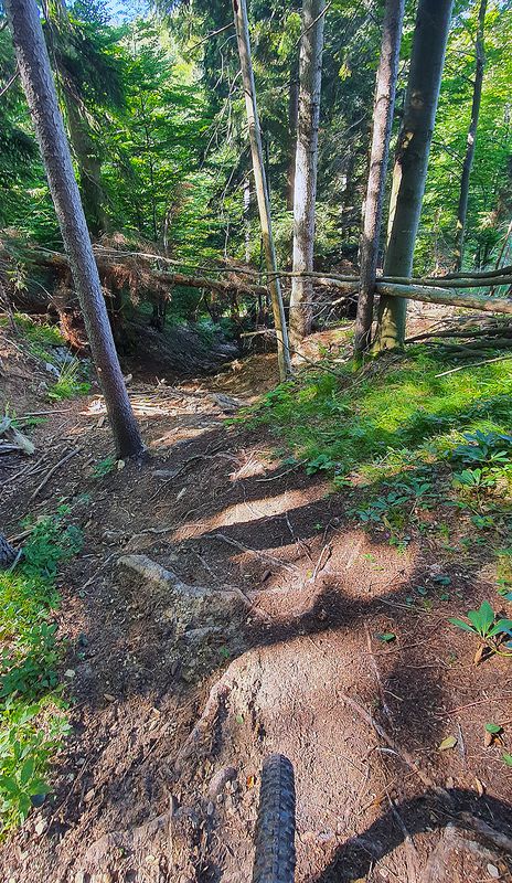 Planina Planinca MTB