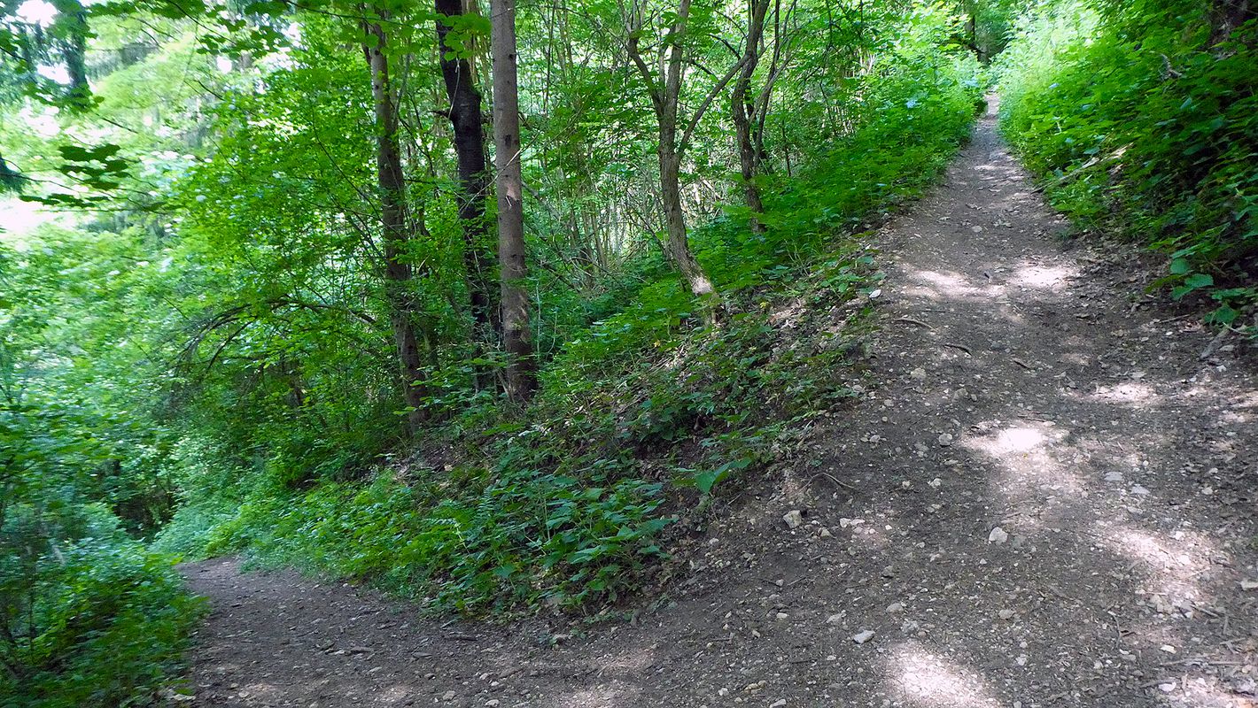 Talež MTB