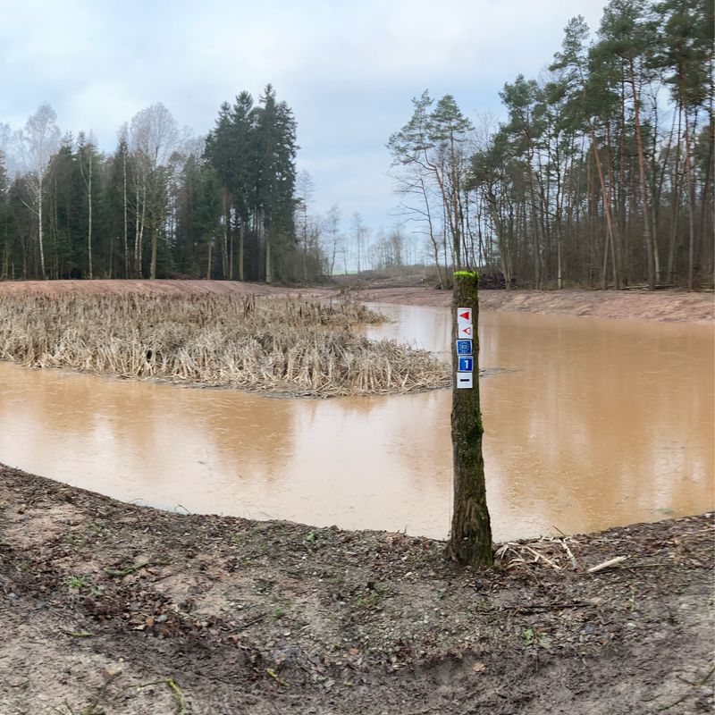 Neujahrswanderung - Akazienweg 2, Dipperz nach Akazienweg 2, Dipperz