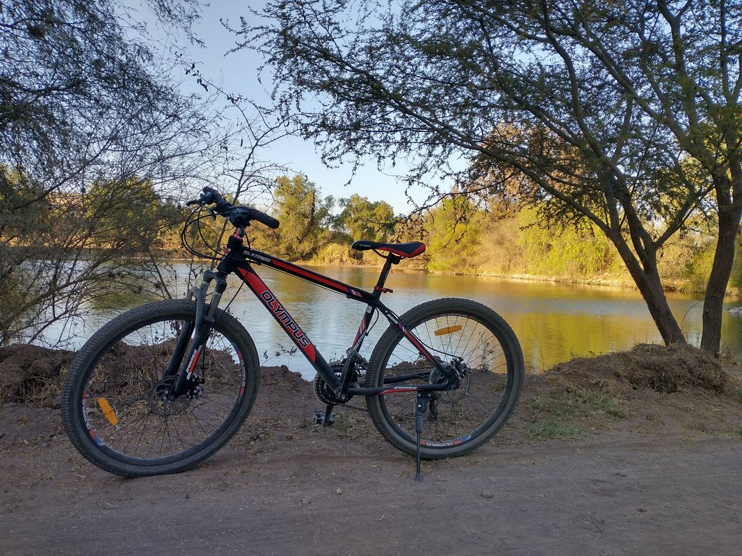 Día 2