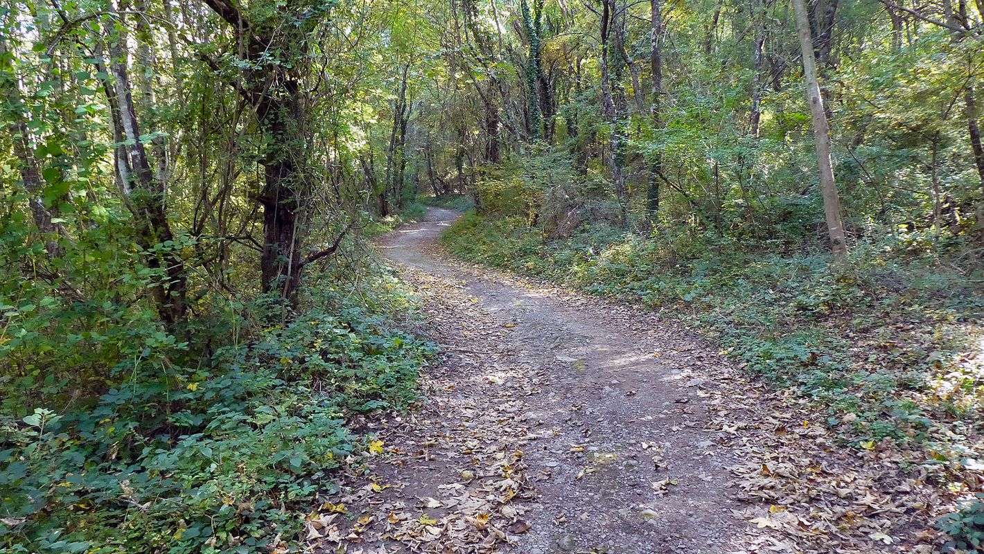 The path of Martin Krpan