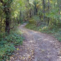 The path of Martin Krpan