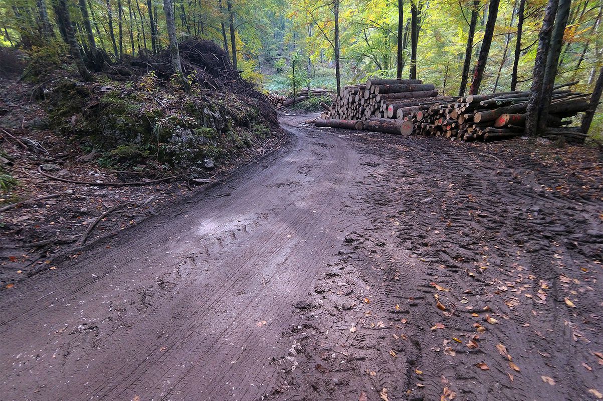 Downhill to Jamnik