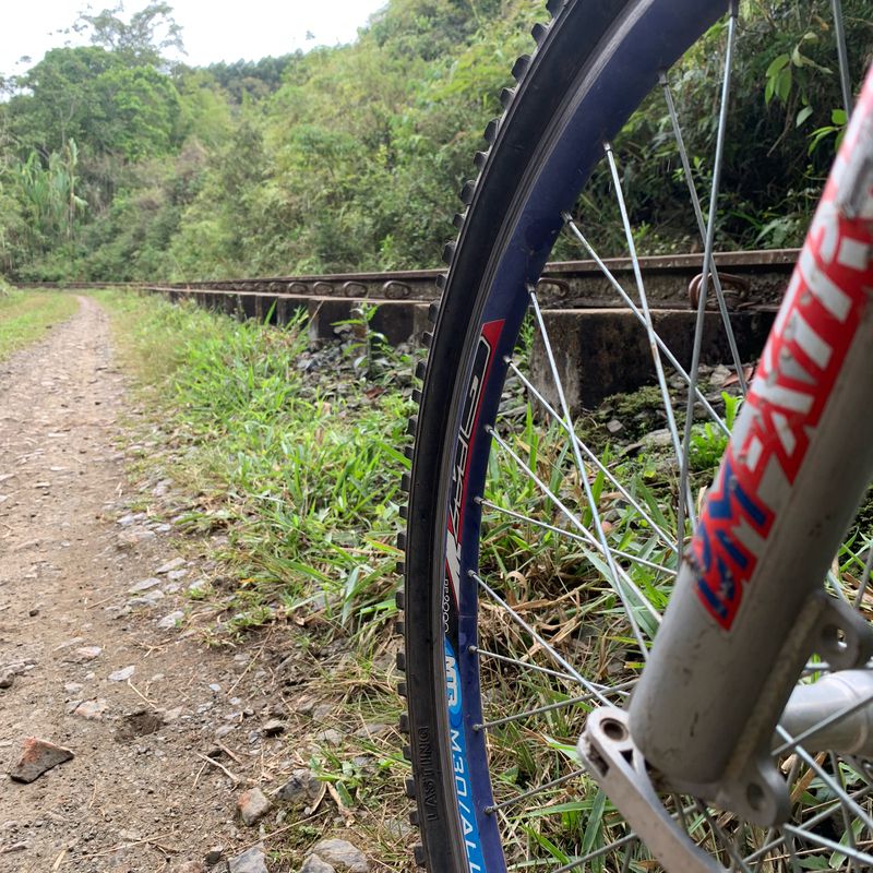 pavas alboreda la cumbre carrilera