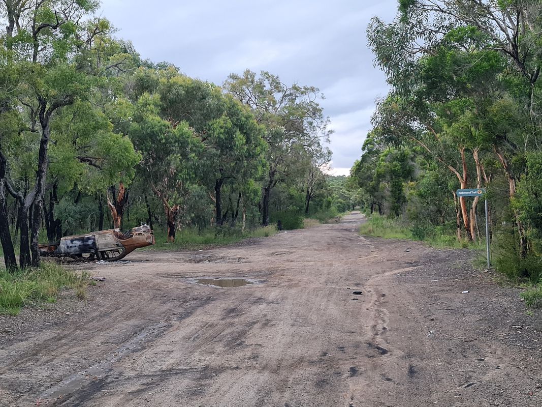 Kurri Kurri, Expressway, Kurri Sand Swamp Woodland twilight loop