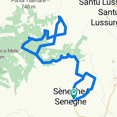 Eliches Uttiosos da Seneghe