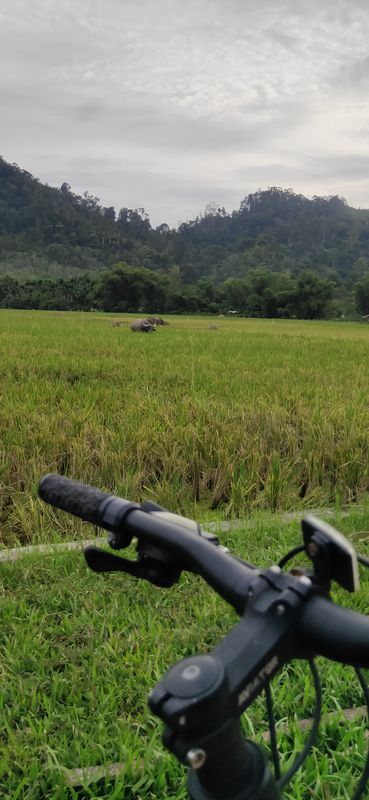 Gang Sahata, Pandan to Gang Sahata, Pandan