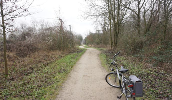 Foto 2 der Bikemap-Route "Wasserroute Hamm-Beckum-Werse Radweg"