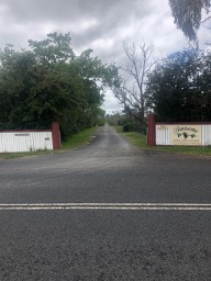 Armidale Tourist Information Centre to Dangars Gorge return