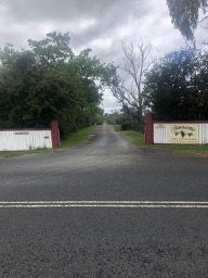 Armidale Tourist Information Centre to Dangars Gorge return