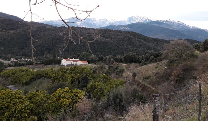 Foto 1 der Bikemap-Route "De Coll de Bousseils 84-396, Reynes à Rue de la Riviera 40, Amélie-les-Bains-Palalda"