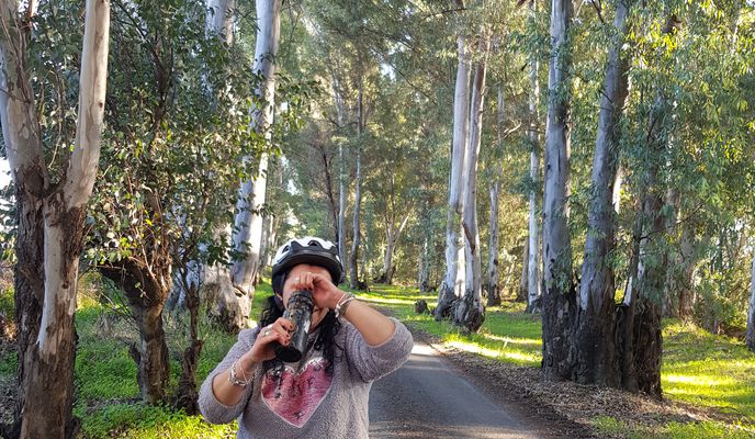 Foto 2 der Bikemap-Route "De Urbanizacion la Celada 94A, La Celada a Urbanizacion la Celada 94A, La Celada" Foto 2 der Bikemap-Route "De Urbanizacion la Celada 94A, La Celada a Urbanizacion la Celada 94A, La Celada"