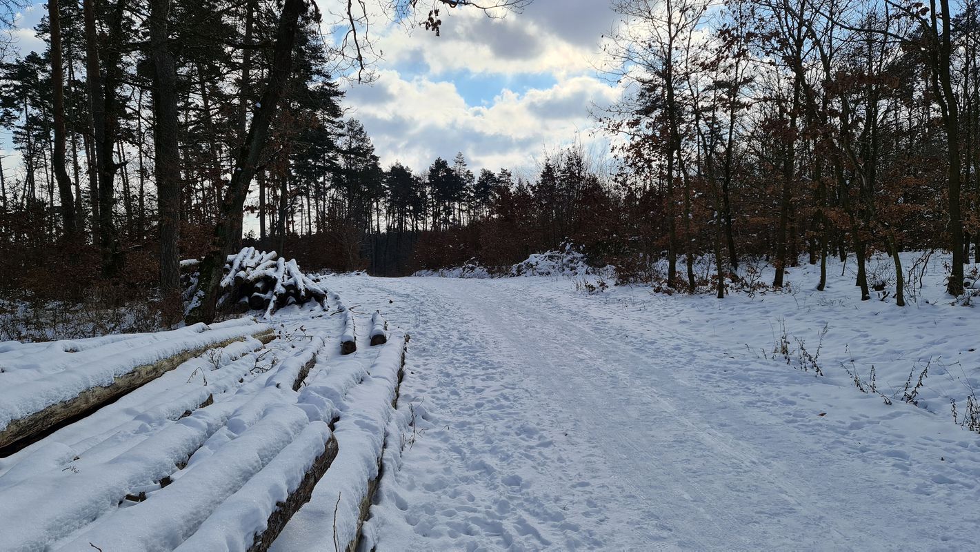 Zimní Mariánské údolí a Mokerská hájovna