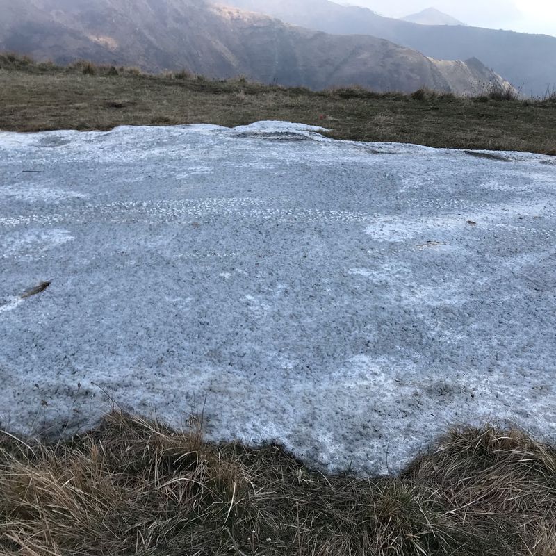 Da Strada Monte Fasce, Sori a Via delle Campanule 58, Genova