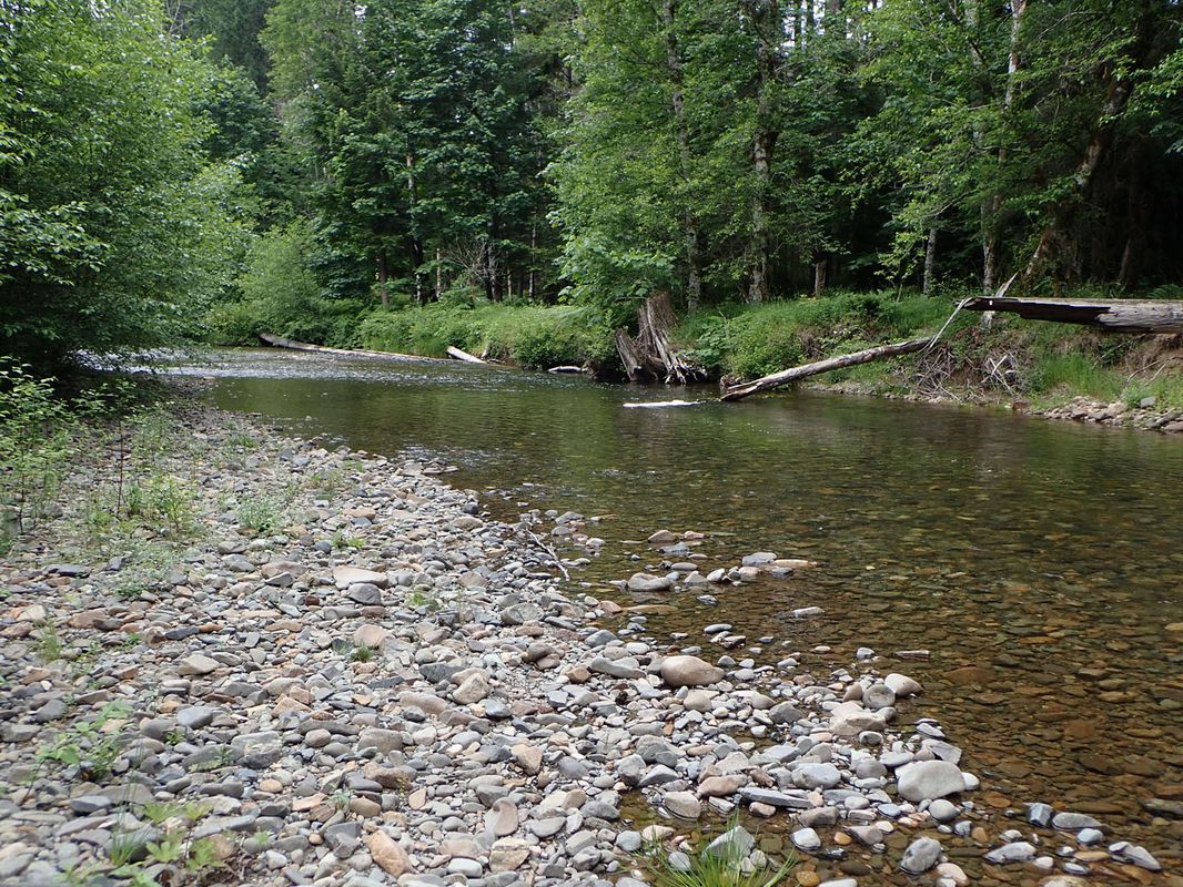 Quinsam Lake Area Exploration