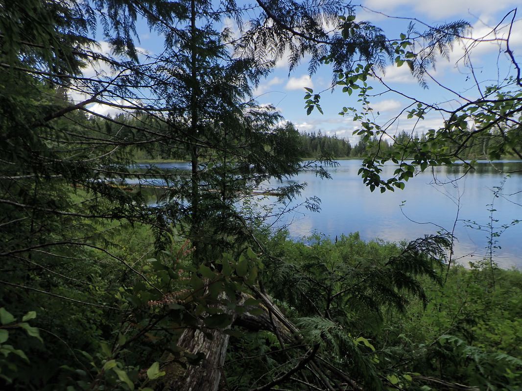 Quinsam Lake Area Exploration