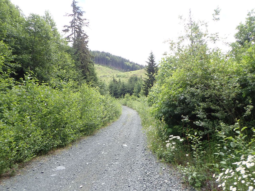 Quinsam Lake Area Exploration