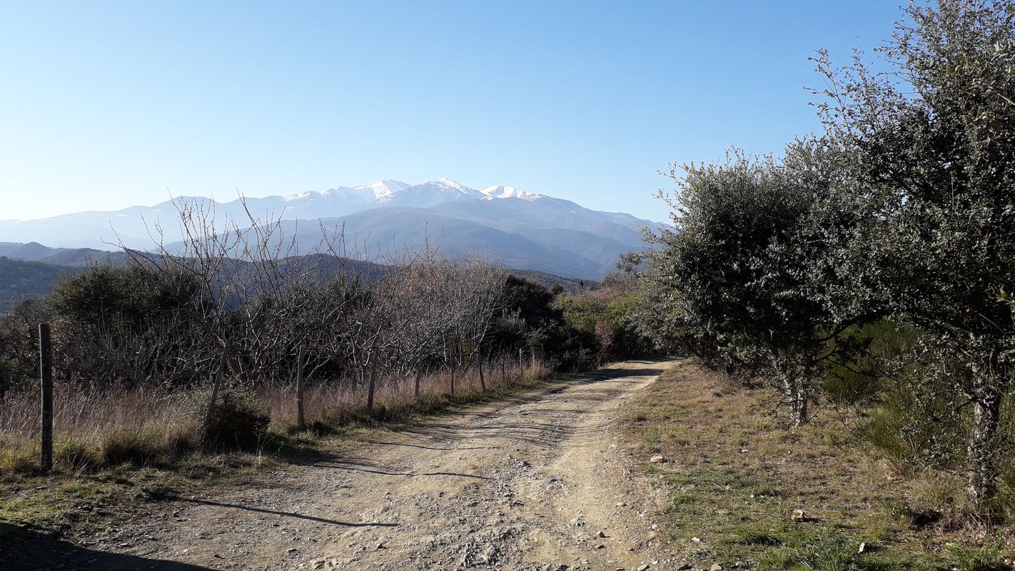 De Rue de la Riviera 40, Amélie-les-Bains-Palalda à Rue de la Riviera 38, Amélie-les-Bains-Palalda