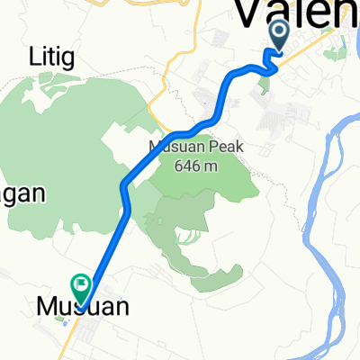 Sayre Highway, Valencia City to Sayre Highway, Maramag