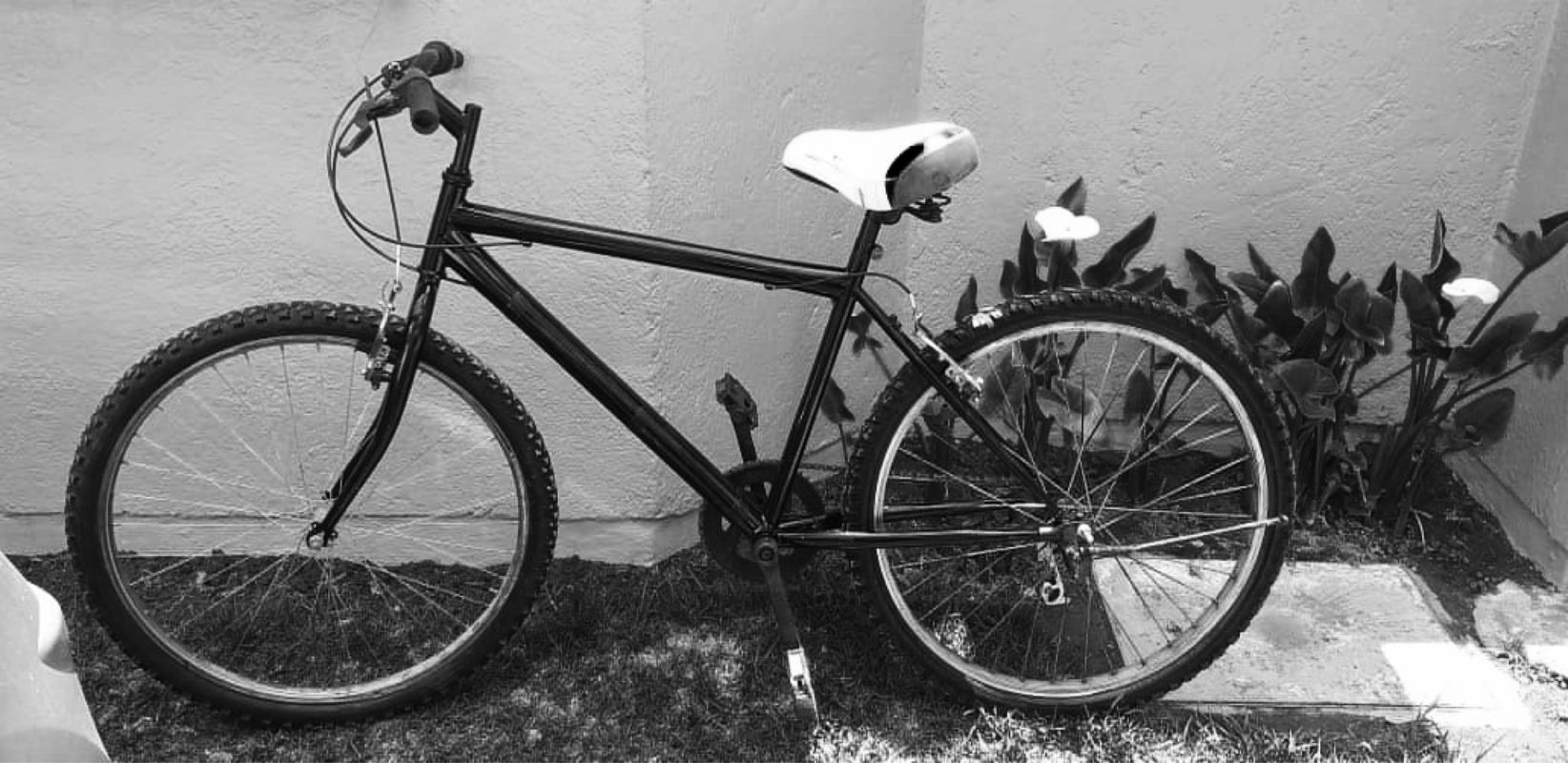 Ruta a la Universidad