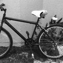 Ruta a la Universidad