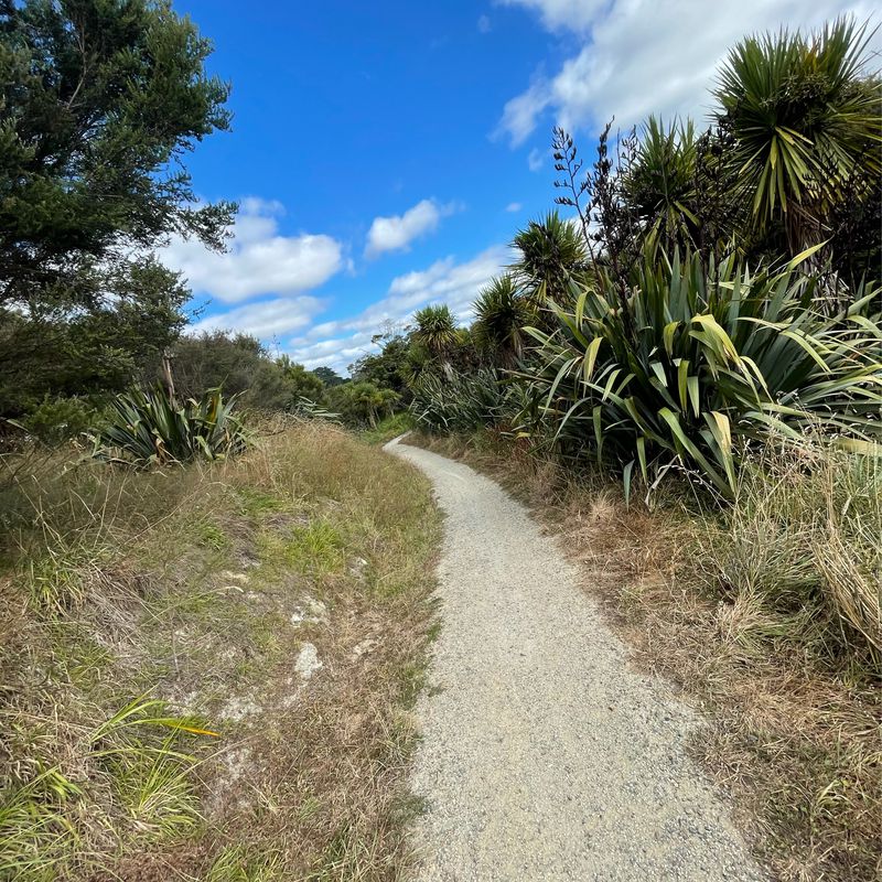 Silkwood Heights Lookout, The Gardens to 149 Redoubt Road, Flat Bush