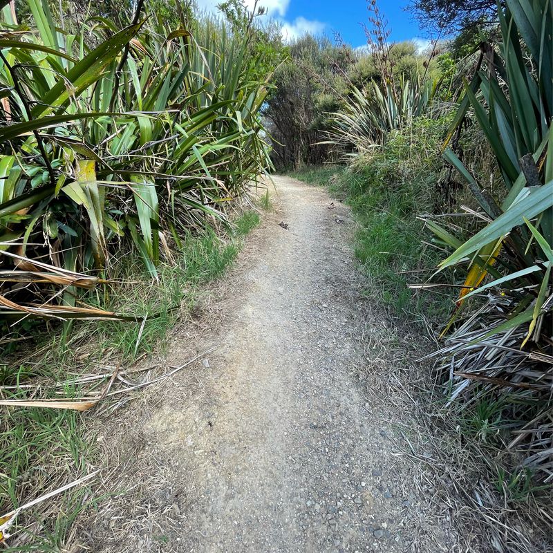 Silkwood Heights Lookout, The Gardens to 149 Redoubt Road, Flat Bush