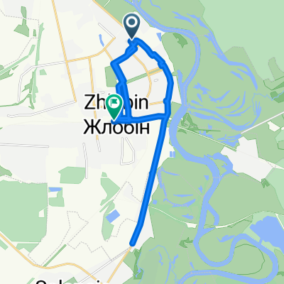 17.01.2015. Жлобин - Светлогорск заезд не состоялся. Обратно. Сперва на вокзал, потом домой и снова на вокзал