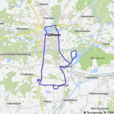 Tankumsee und dann nach Gifhorn