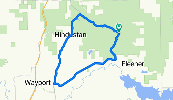 MM Forest Loop