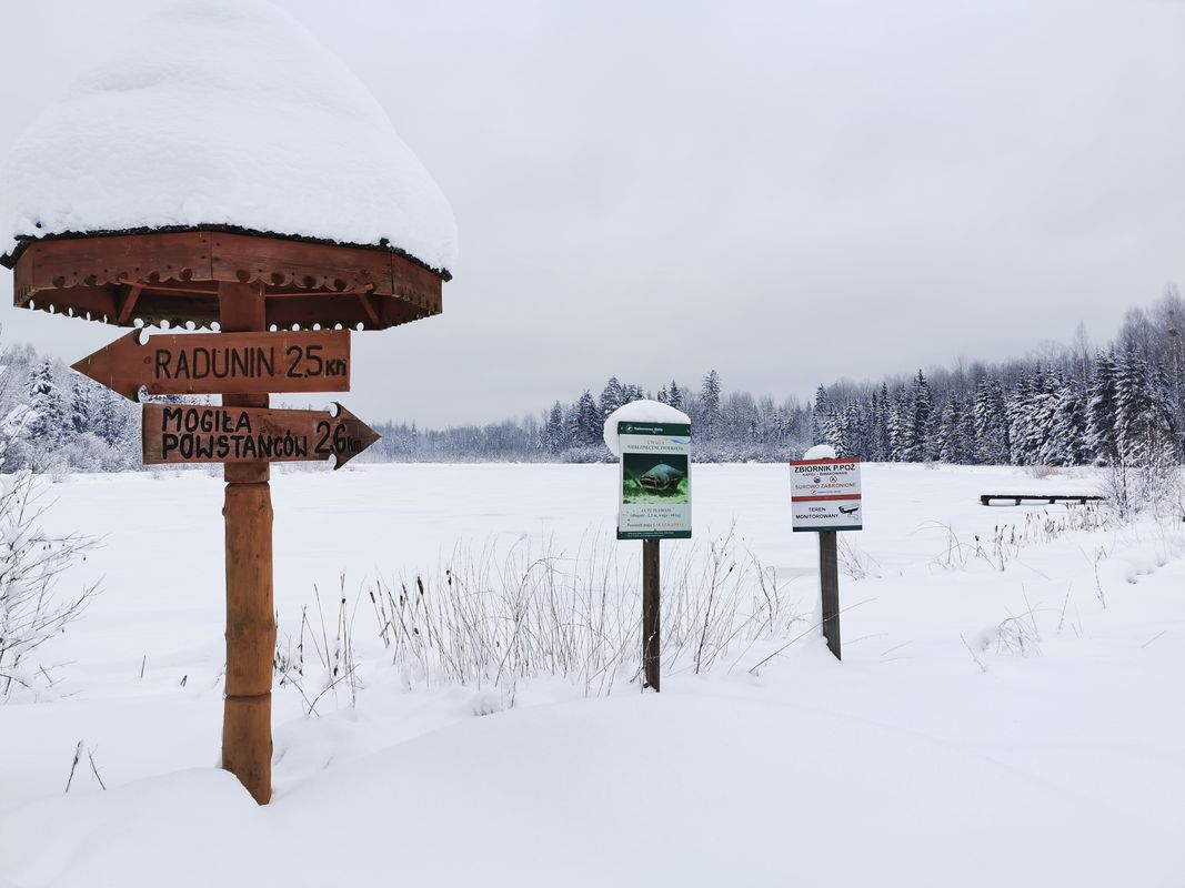 Pierwsza Styczniowa Przechadzka Wyżary 11 km M