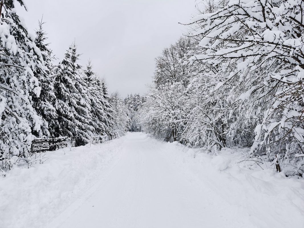 Pierwsza styczniowa przechadzka 22km D