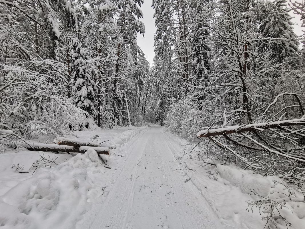 Pierwsza styczniowa przechadzka 22km D